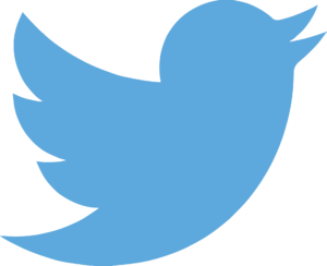 The Importance of Twitter for Smaller Businesses